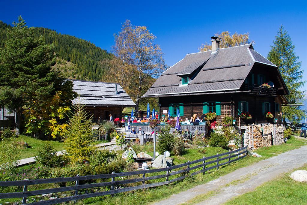 Alm hinterm Brunn