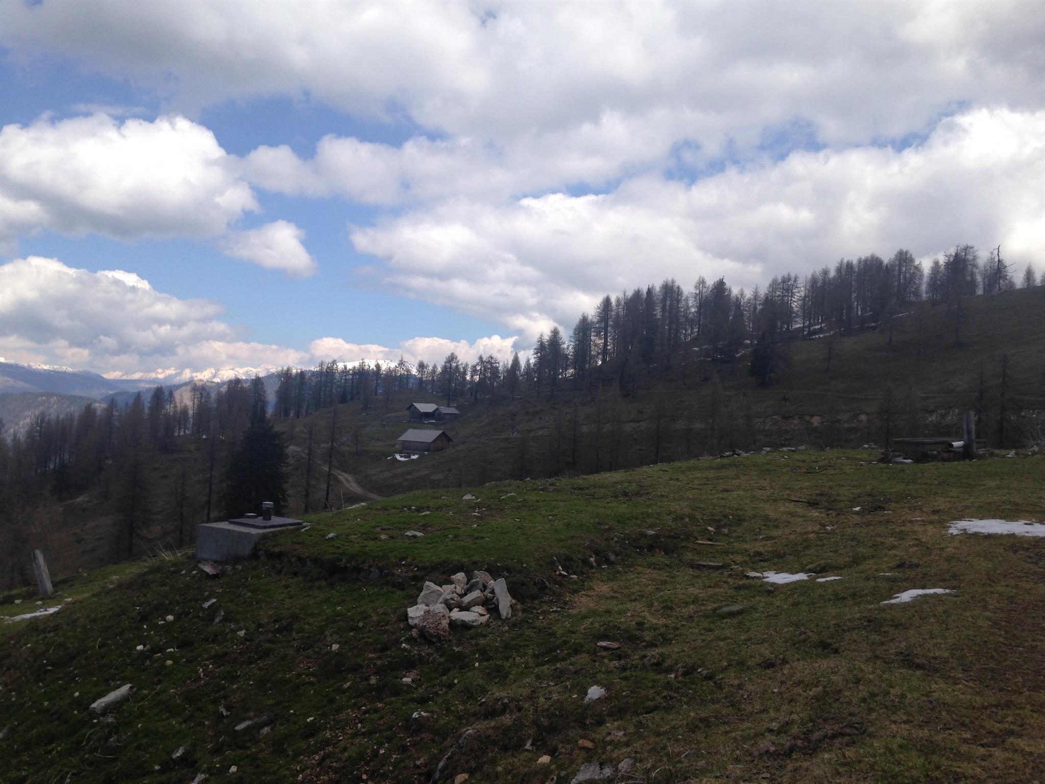 Radniger Alm
