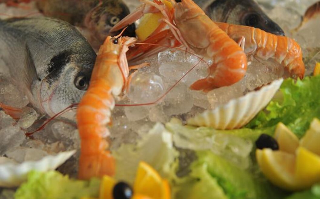 Fischplatte Fischplatte