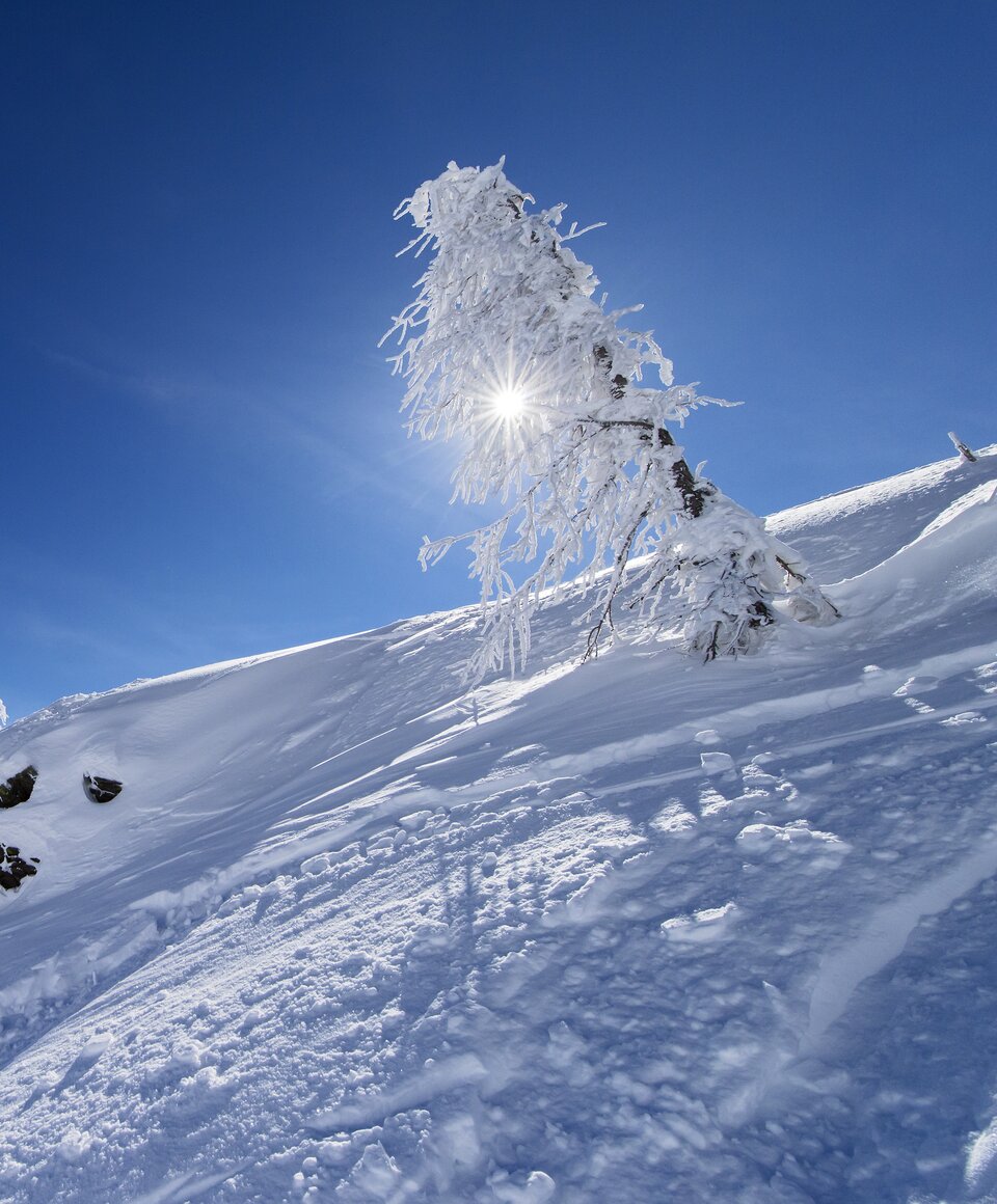 Aktuelles aus der Region Nassfeld-Pressegger See in Kärnten