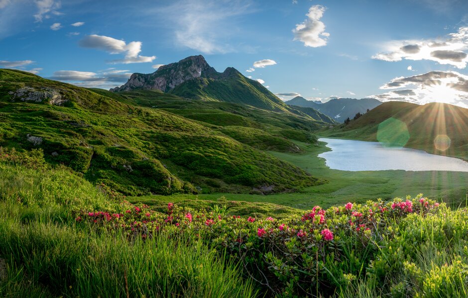 Zollner See1_Köstl Gerald Zollner See1_Köstl Gerald