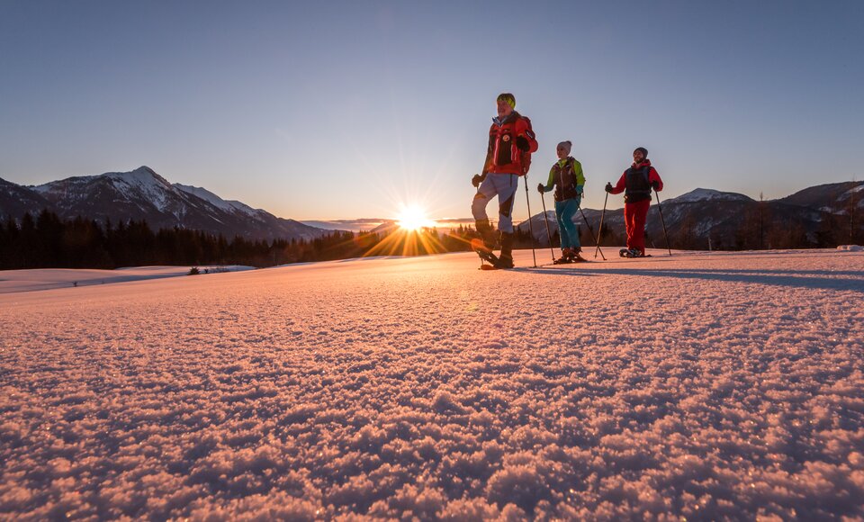 MS-Photo-101 | © MichaelStabentheiner MS-Photo-101 | © MichaelStabentheiner