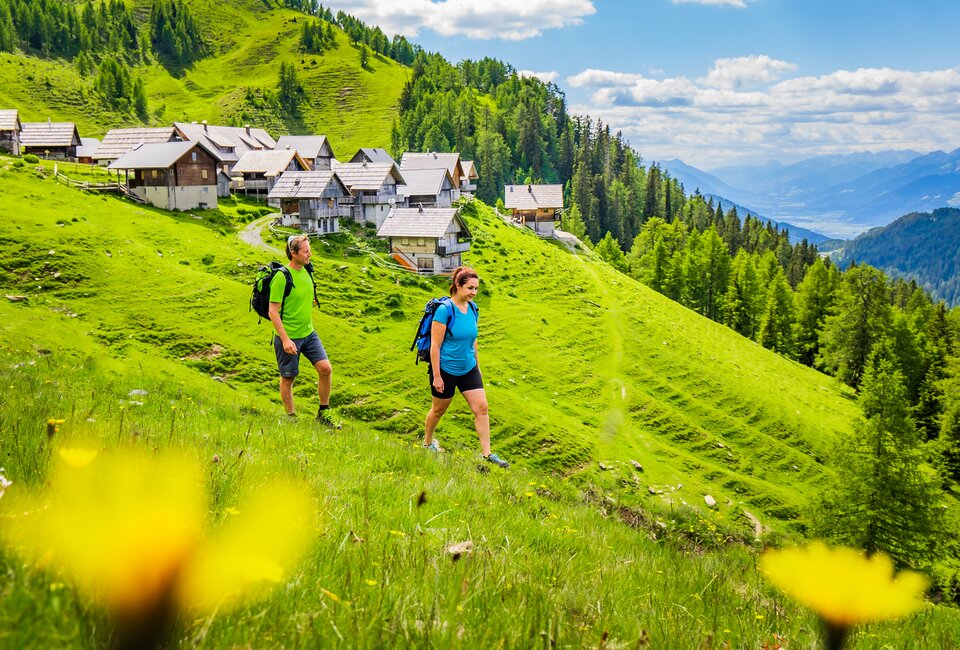Wandern Alm NLW-21 Wandern Alm NLW-21