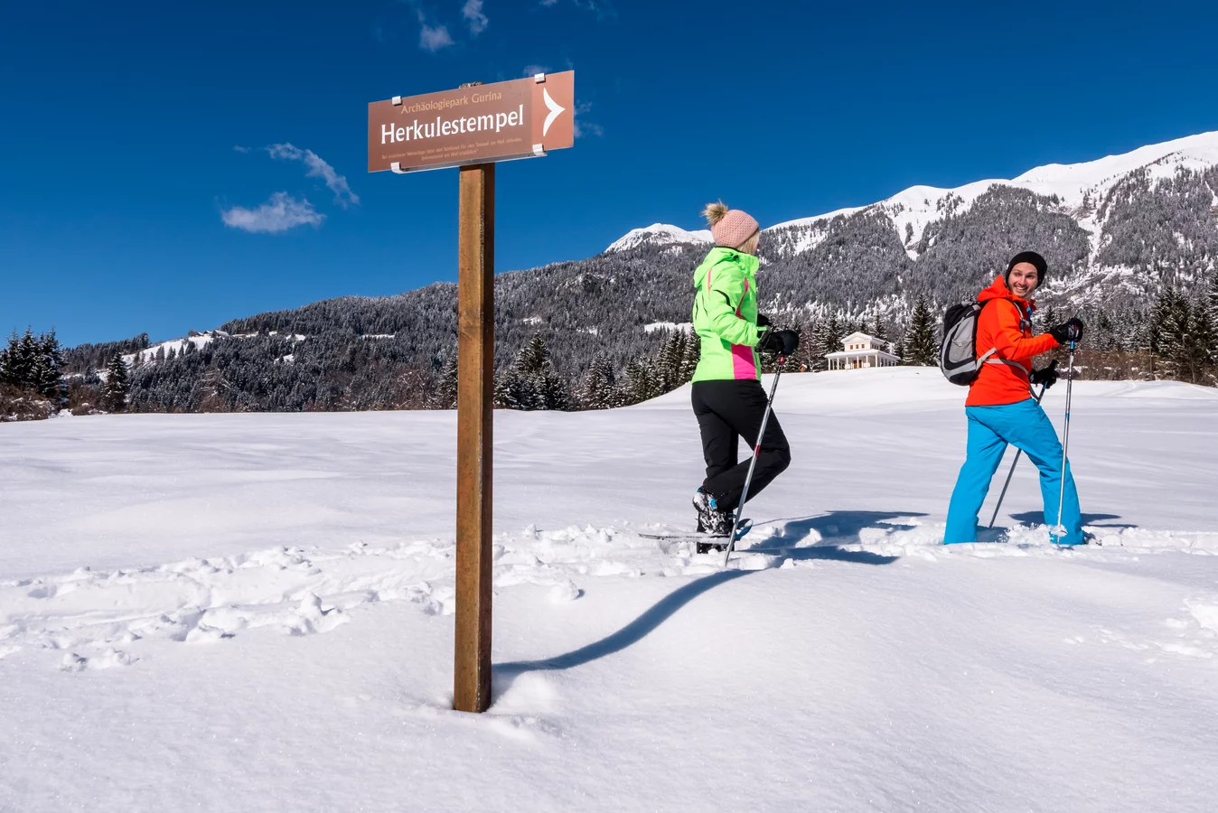 Free Free 343 Snowshoes Svg SVG PNG EPS DXF File