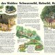 Naturlehrpfad 17. Schwarz- Reh- und Rotwild Naturlehrpfad 17. Schwarz- Reh- und Rotwild