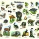 Naturlehrpfad 16. Waldtiere Naturlehrpfad 16. Waldtiere
