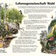 Naturlehrpfad 13. Lebensgemeinschaft Wald Naturlehrpfad 13. Lebensgemeinschaft Wald