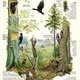 Naturlehrpfad 12. Spechte in ihren Lebensräumen Naturlehrpfad 12. Spechte in ihren Lebensräumen