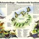 Naturlehrpfad 10. Schmetterlinge Naturlehrpfad 10. Schmetterlinge