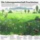Naturlehrpfad 7. Lebensgemeinschaft - Feuchtwiese Naturlehrpfad 7. Lebensgemeinschaft - Feuchtwiese