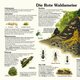 Naturlehrpfad 6. Amphibien und Libellen Naturlehrpfad 6. Amphibien und Libellen