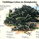 Naturlehrpfad 2. Vielfältiges Leben im Reisighaufen Naturlehrpfad 2. Vielfältiges Leben im Reisighaufen