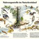 Naturlehrpfad 1. Nahrungsstoffe im Naturkreislauf Naturlehrpfad 1. Nahrungsstoffe im Naturkreislauf