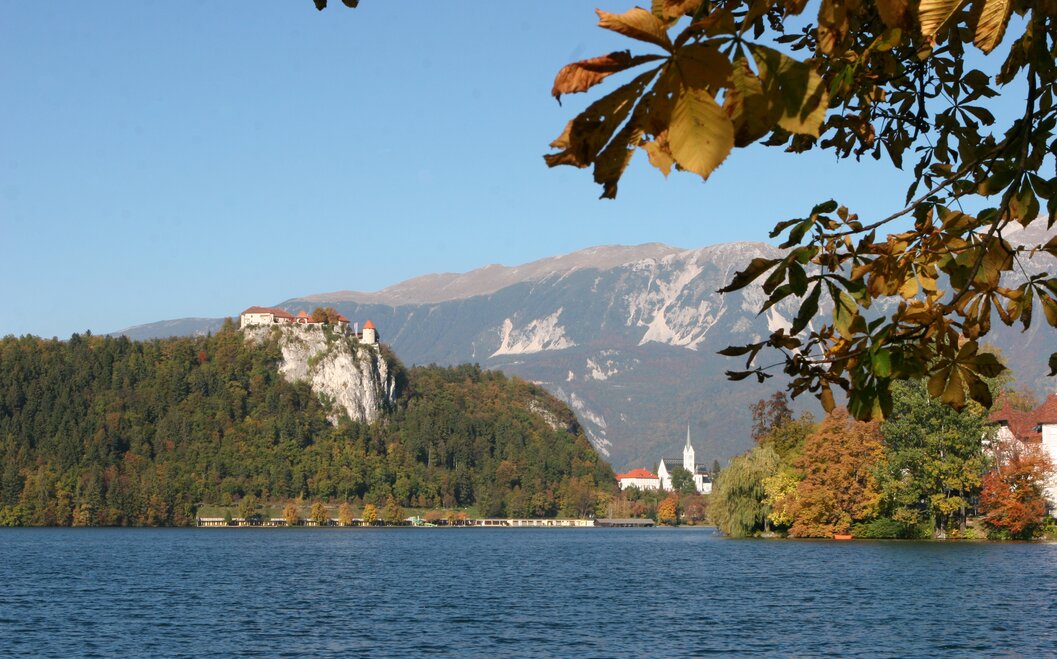 Bleder See Ulf Böhringer